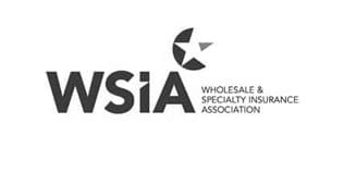 Wholesale & Specialty Insurance Association